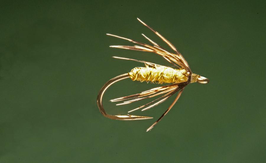 Ken Iwamasa - #18 Yellow Grouse Soft Hackle 