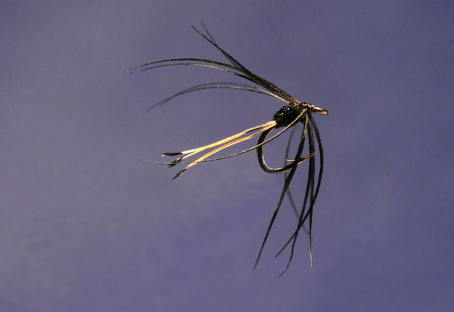 Ken Iwamasa - #18 Soft Hackle 