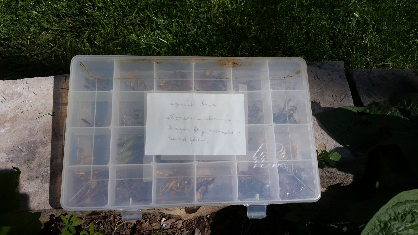 Plano fly box full of flies (large nymphs) 
