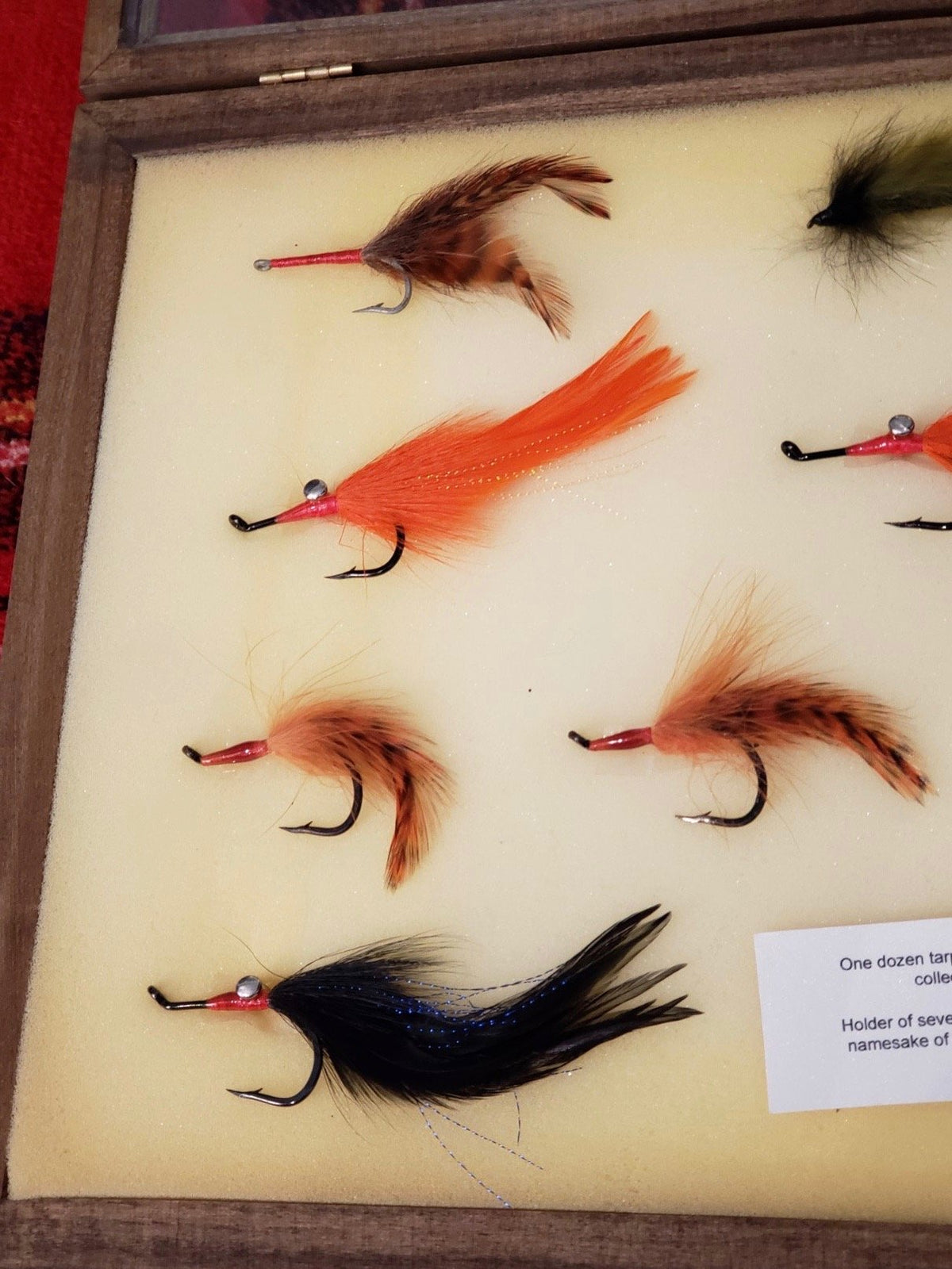 Pate, Billy - Tarpon Flies in Display Case