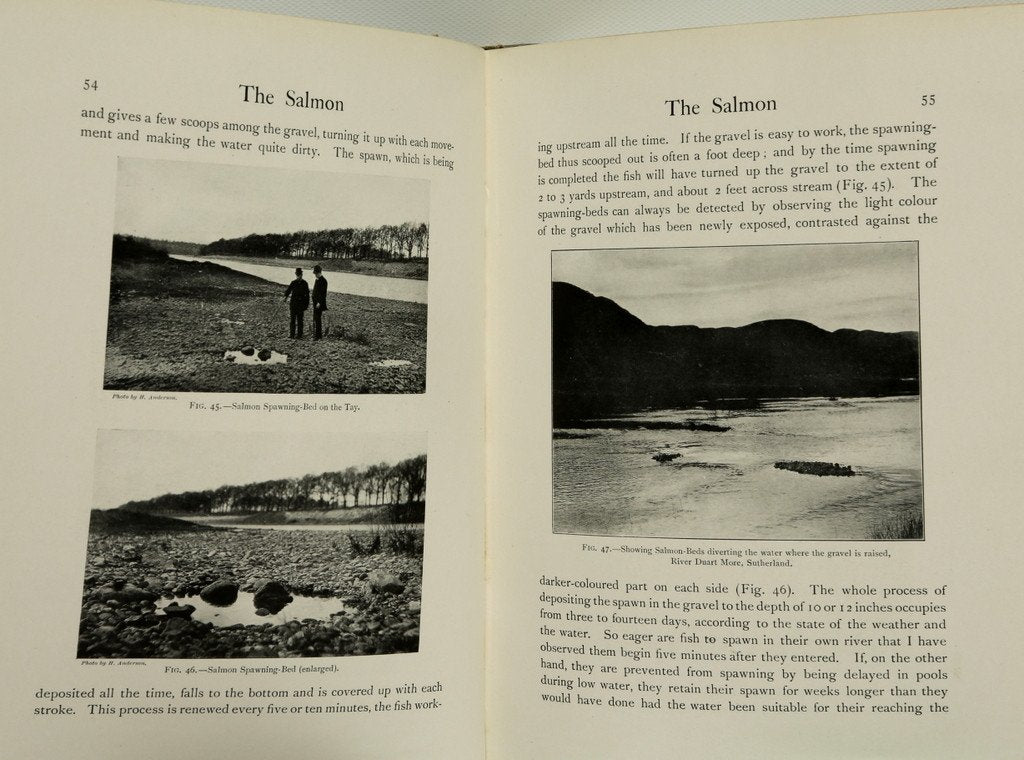 Malloch, PD - Life-History and Habits of the Salmon, Sea-Trout, Trout, and other Freshwater Fish 