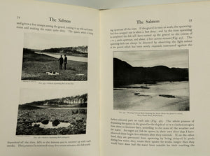 Malloch, PD - Life-History and Habits of the Salmon, Sea-Trout, Trout, and other Freshwater Fish