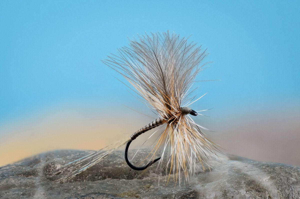 Flies for Rivers - CDC Fanwing Quill (Adams - Size 12) 