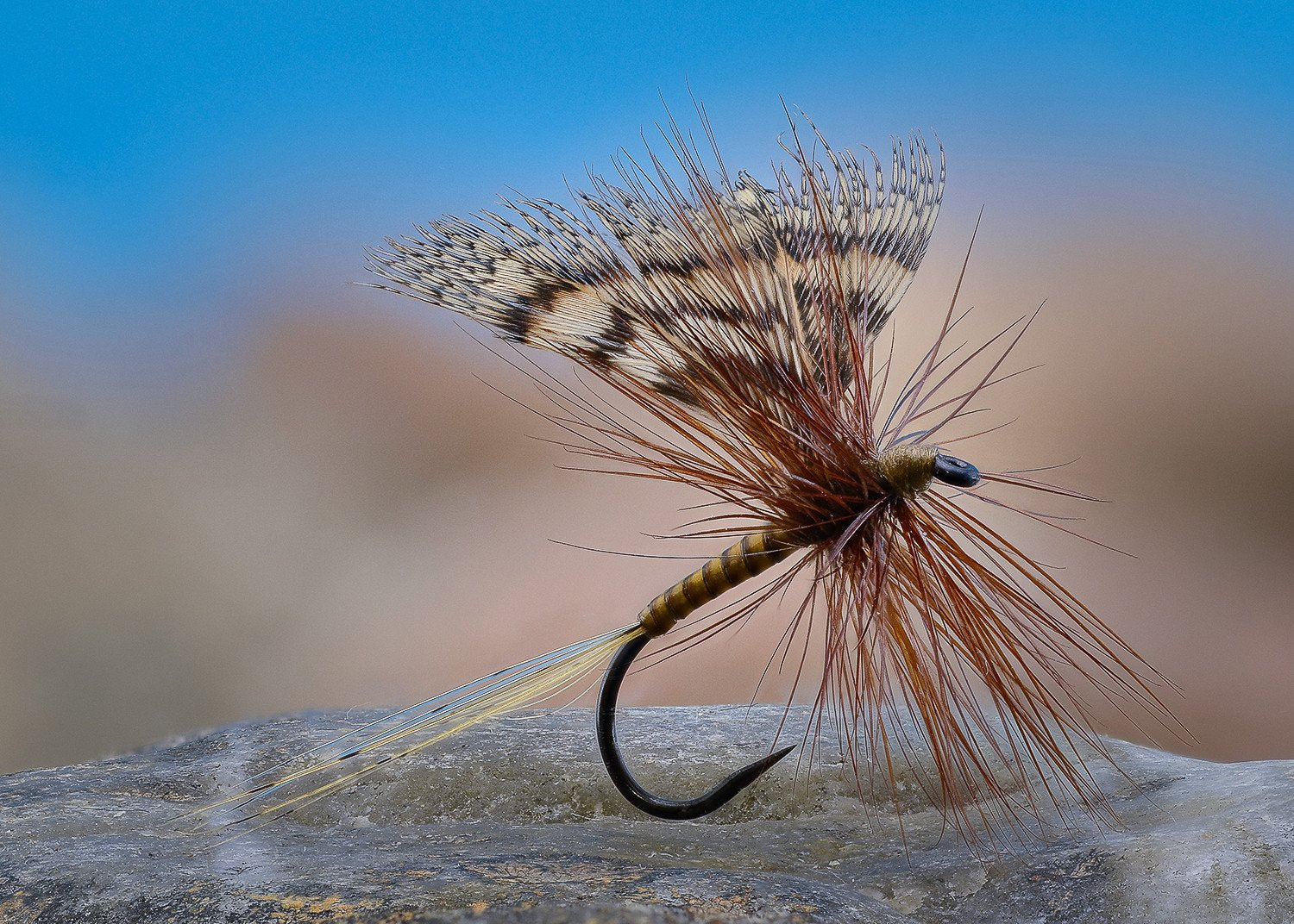 Flies for Rivers - March Brown
