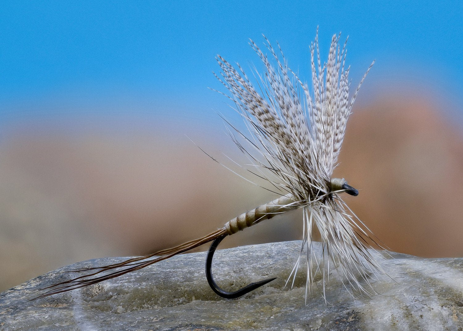 Flies for Rivers - Coffin Fly 