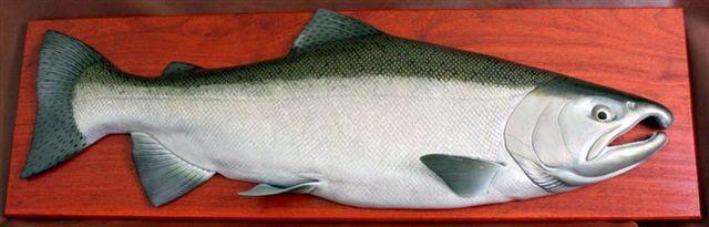Knowlton, Eric - Coho Salmon wood carving
