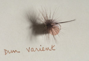 Elsie Darbee Framed Flies 