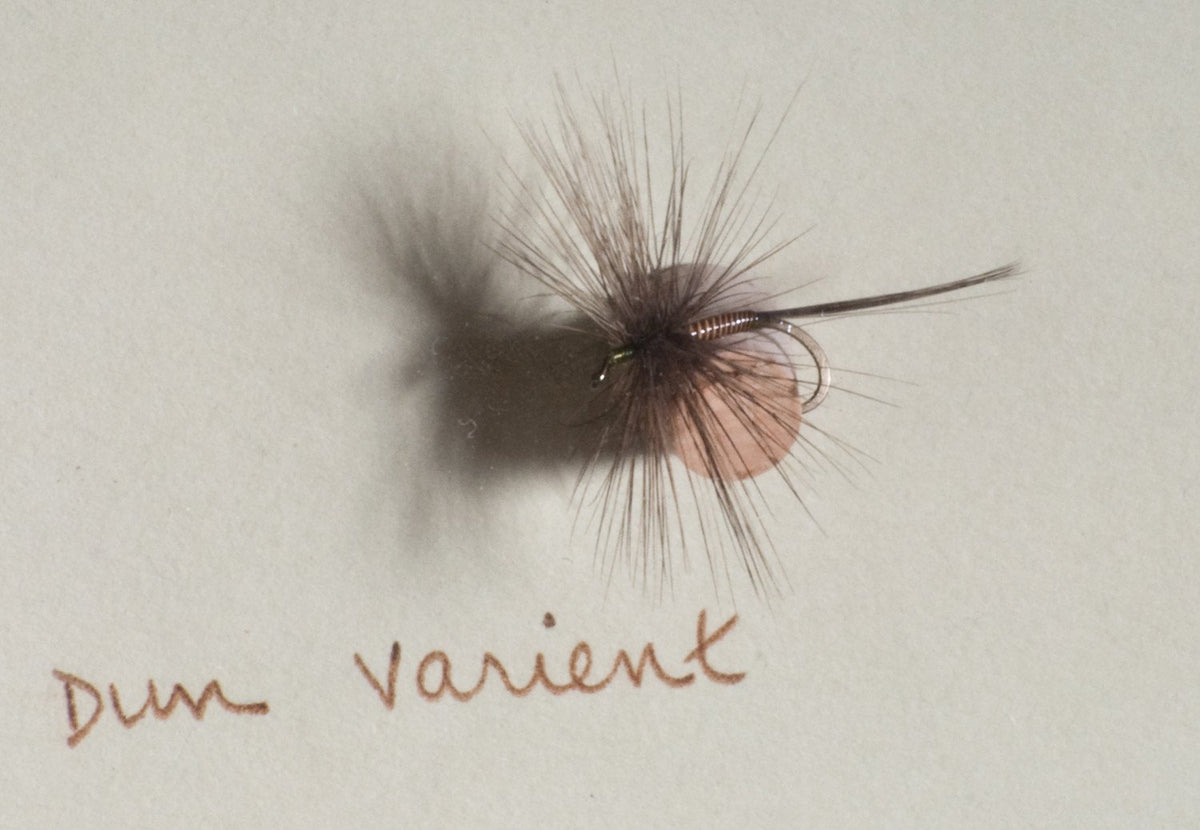 Elsie Darbee Framed Flies