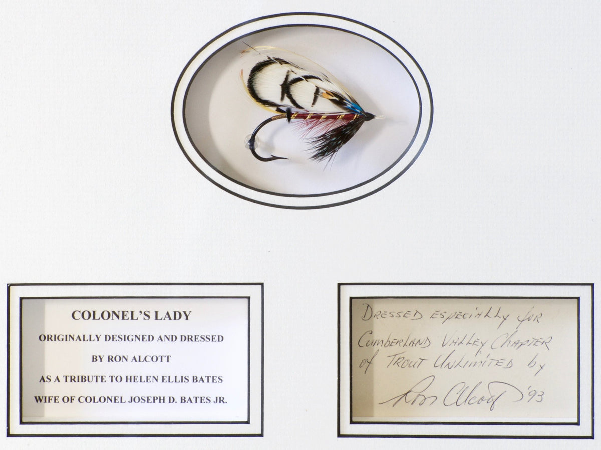 Alcott, Ron - Shadowbox Frame with Salmon Fly 