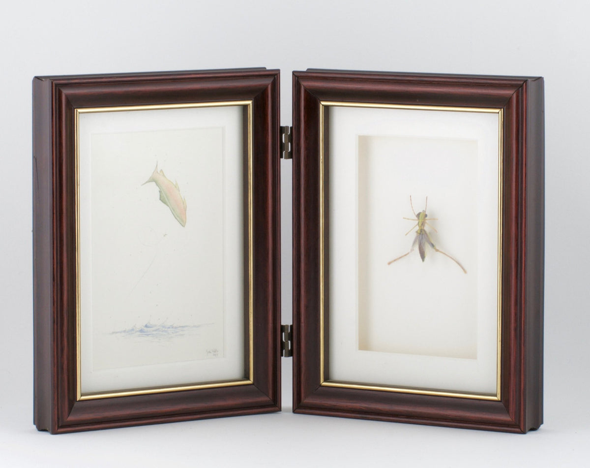 Betts, John - Framed Flies