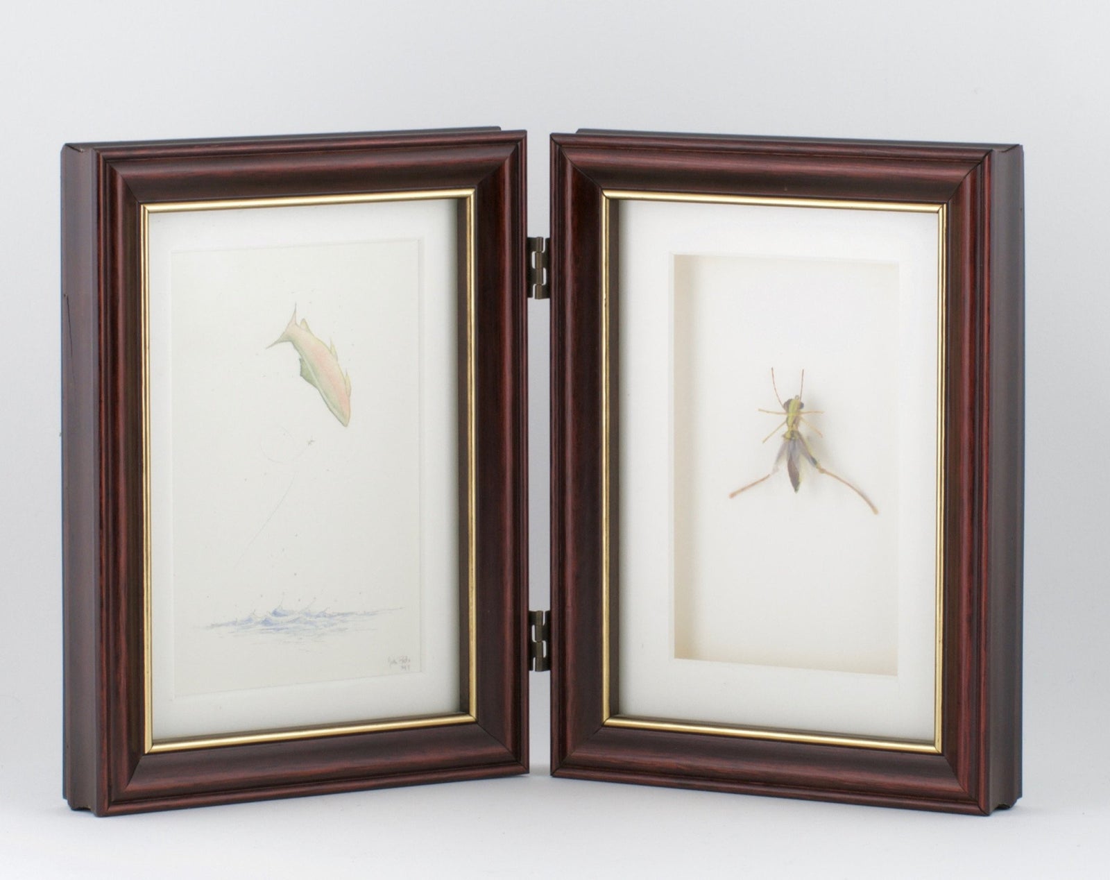 Betts, John - Framed Flies