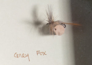 Elsie Darbee Framed Flies 