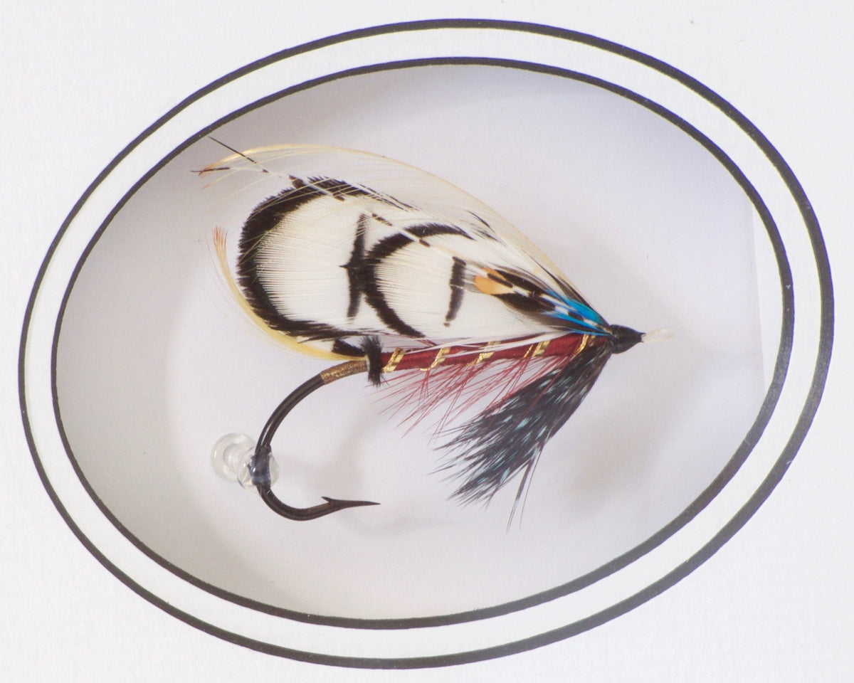 Alcott, Ron - Shadowbox Frame with Salmon Fly 