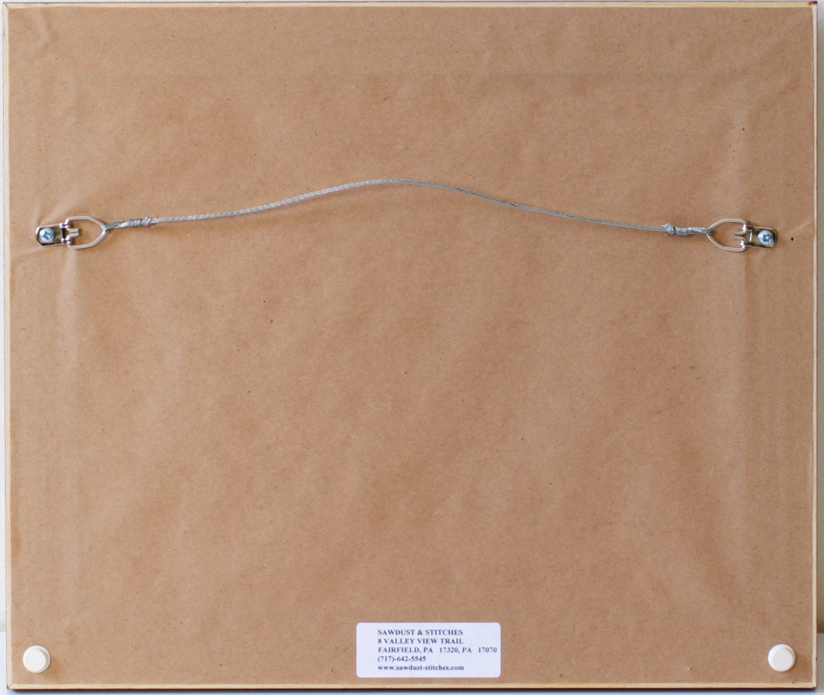 Alcott, Ron - Shadowbox Frame with Salmon Fly