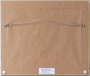 Alcott, Ron - Shadowbox Frame with Salmon Fly