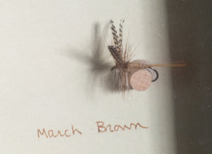 Elsie Darbee Framed Flies 