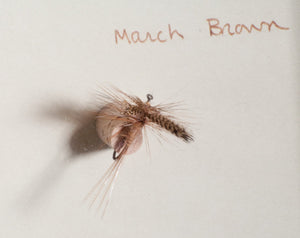 Elsie Darbee Framed Flies 