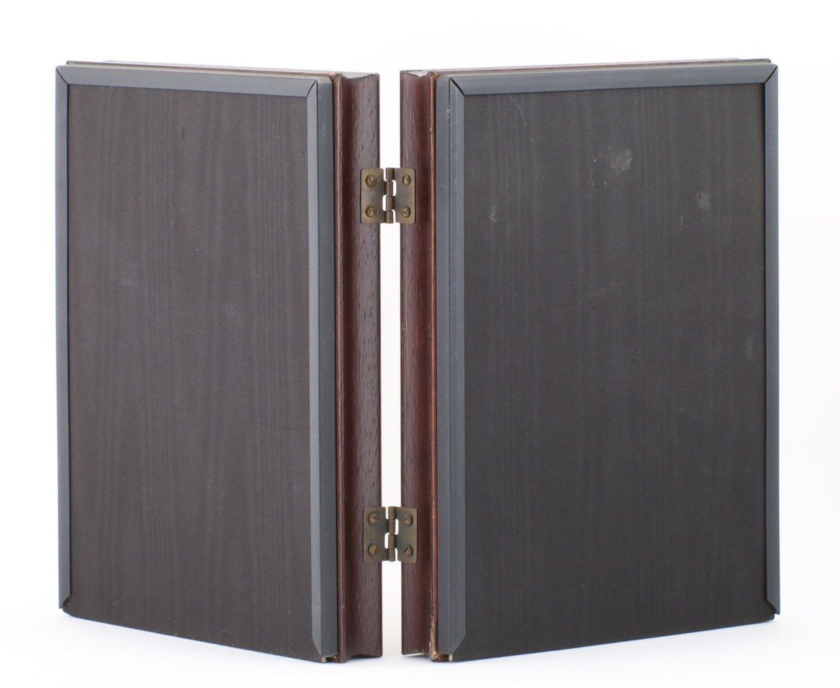 Betts, John - Framed Flies 