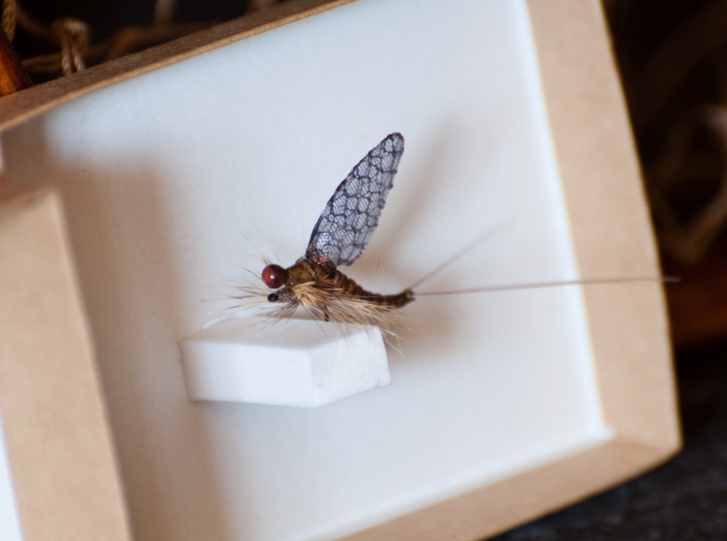 Bill Logan Realistic Mayfly 