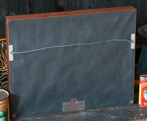 Eric Leiser Framed Catskill Flies (6) 