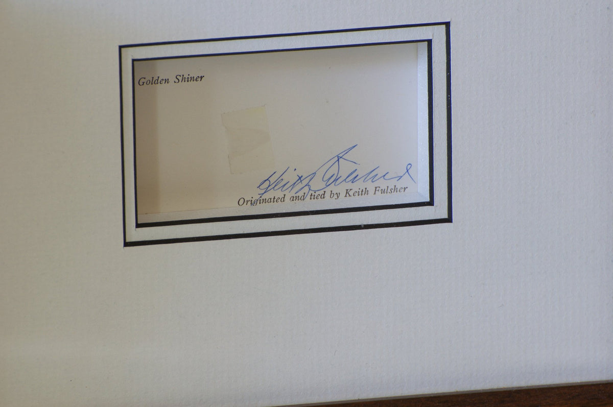 Fulsher, Keith - Framed Fly with Card