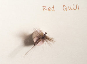 Elsie Darbee Framed Flies