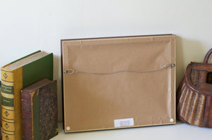 LeBlanc Framed Flies 