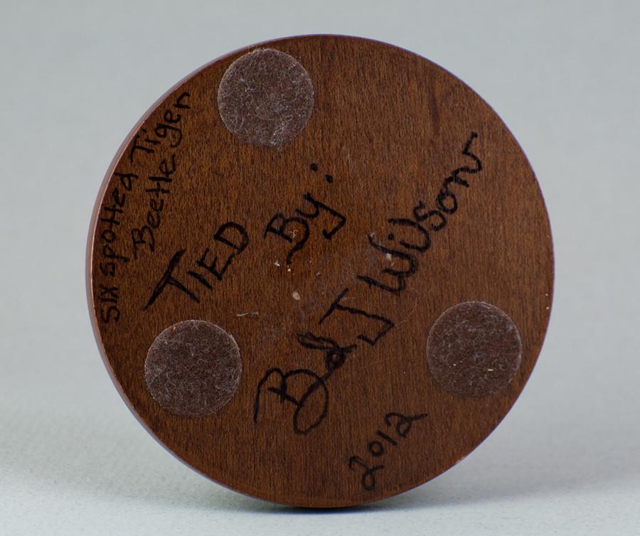 Brad Wilson Domed Fly - Six Spotted Tiger Beetle 