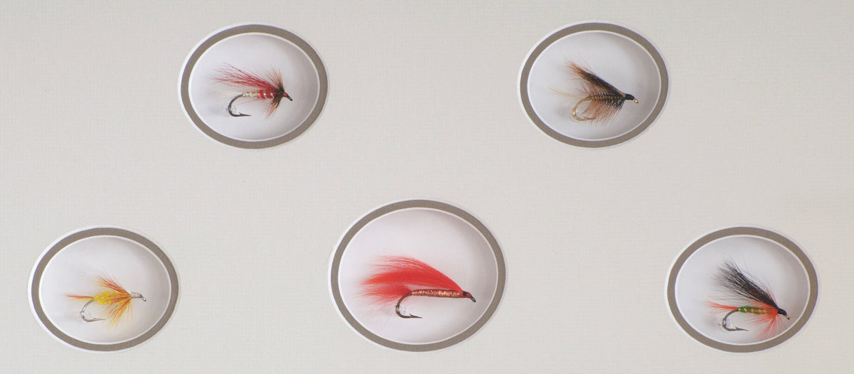 Rosborough, Polly - Framed Flies 