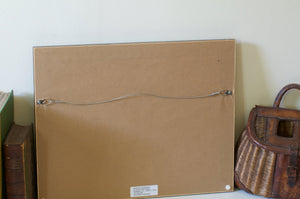 Decoteau Framed Flies 