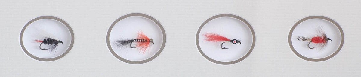Rosborough, Polly - Framed Flies 