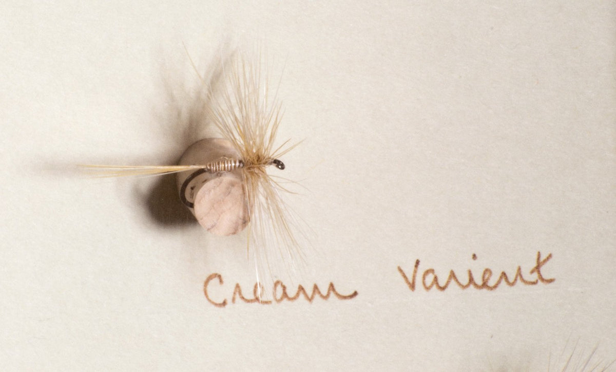 Elsie Darbee Framed Flies 