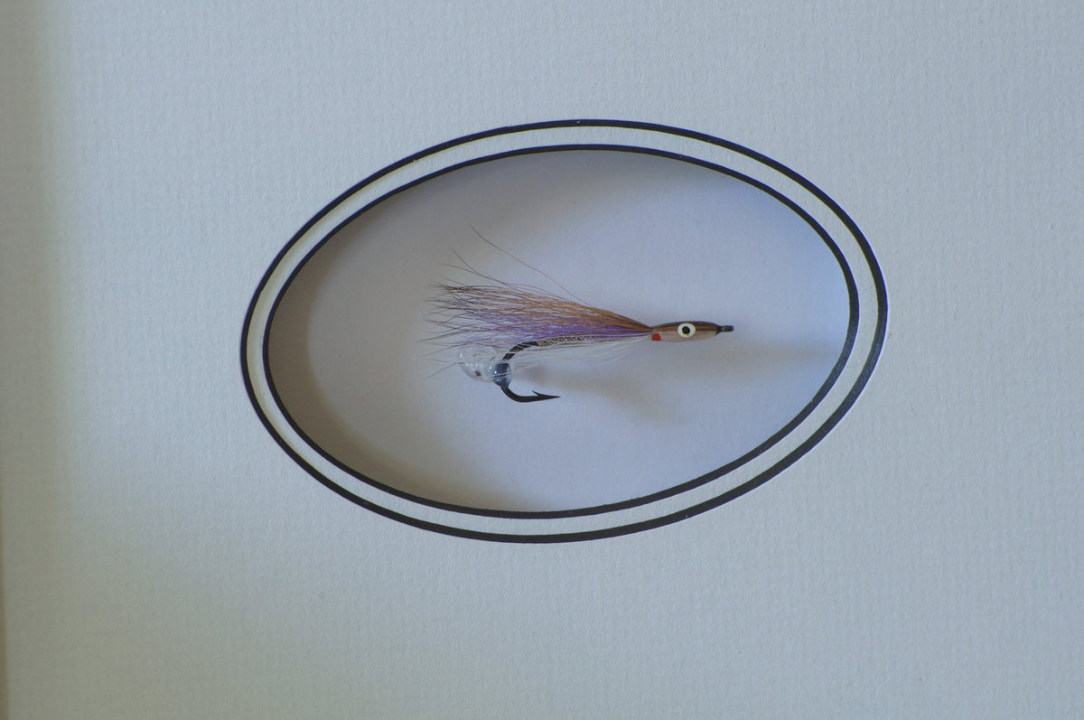 Fulsher, Keith - Framed Fly with Card