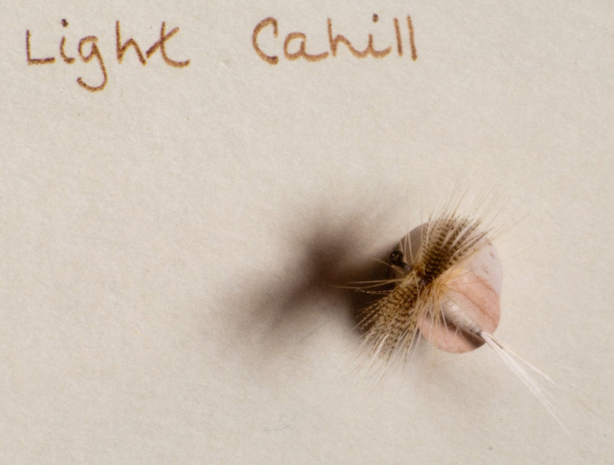 Elsie Darbee Framed Flies