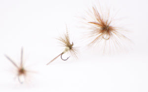 Schwiebert, Ernest - 16 Flies 