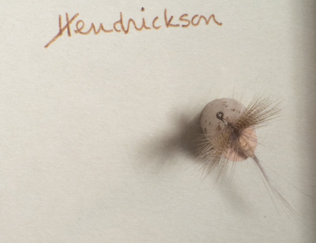 Elsie Darbee Framed Flies 