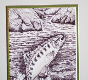 Ray Ovington Framed Trout Sketch