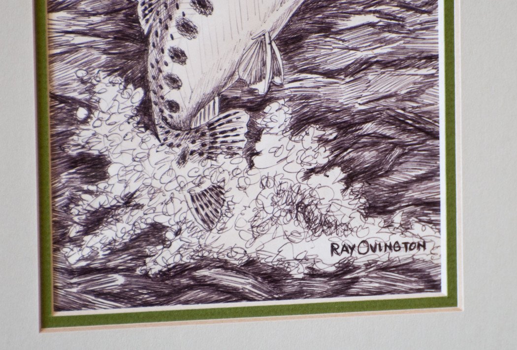 Ray Ovington Framed Trout Sketch 