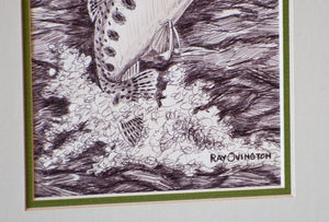 Ray Ovington Framed Trout Sketch