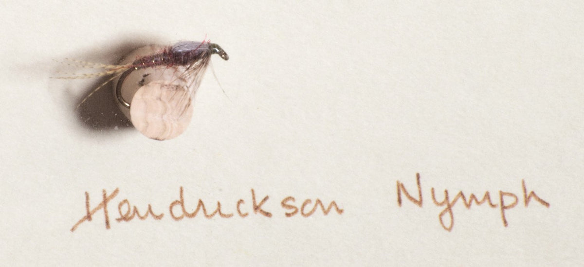 Elsie Darbee Framed Flies 