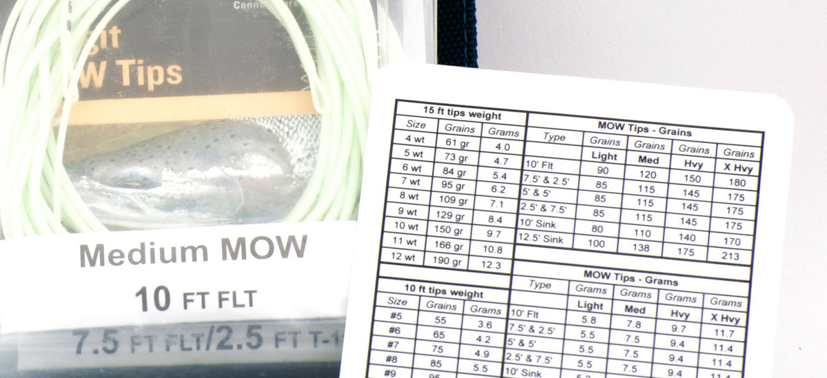 Rio - Scandi Tips and Case 