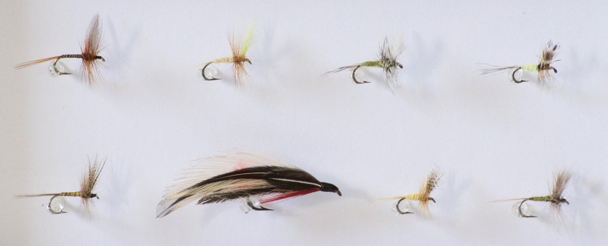 Harvey, George - Shadowbox Framed Flies 