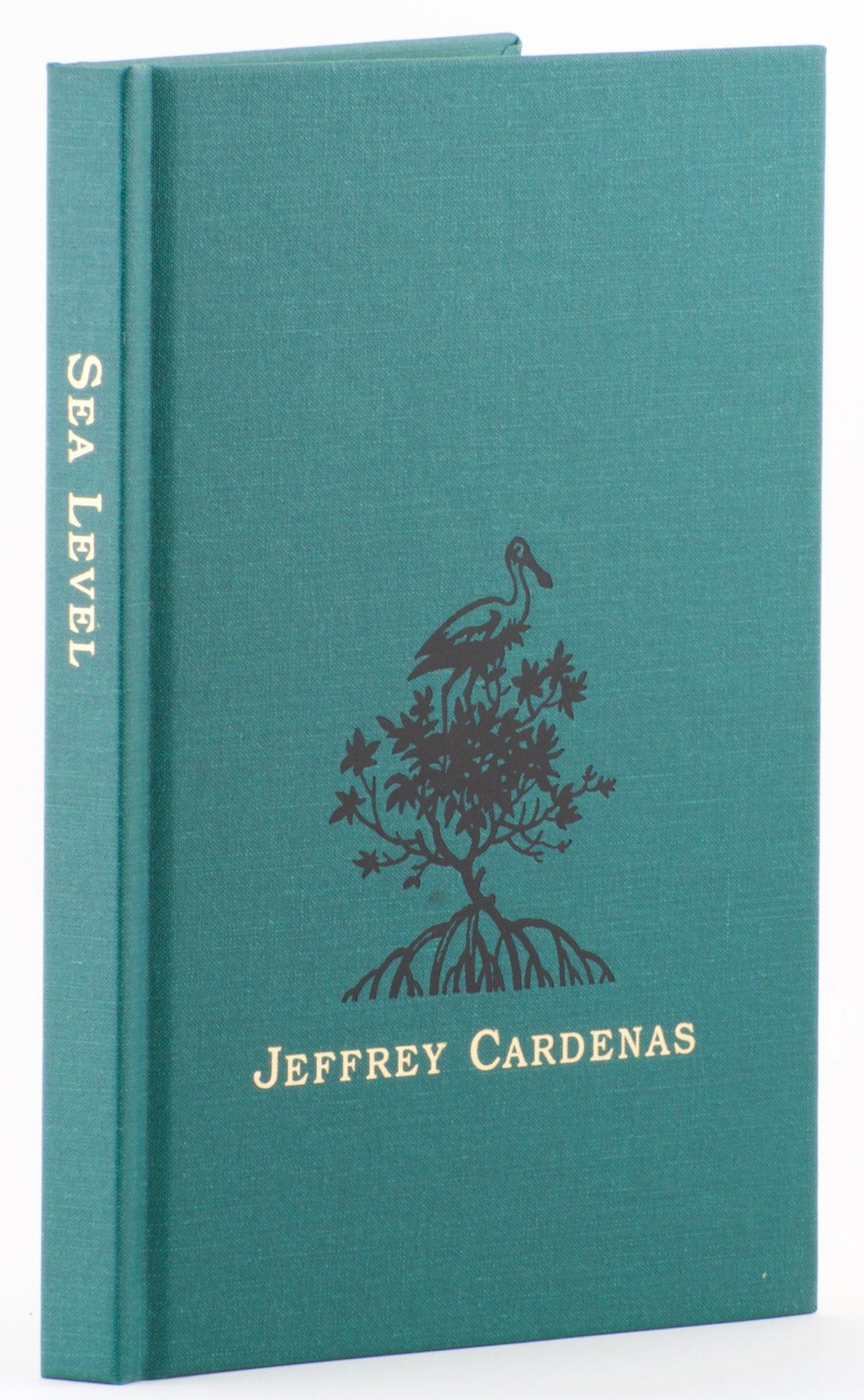 Cardenas, Jeffrey - "Sea Level" 