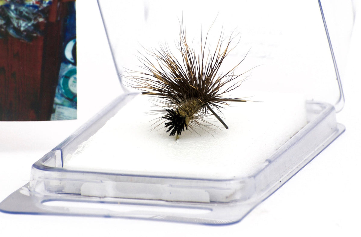 Bob Jacklin - Early Black Stone Fly 