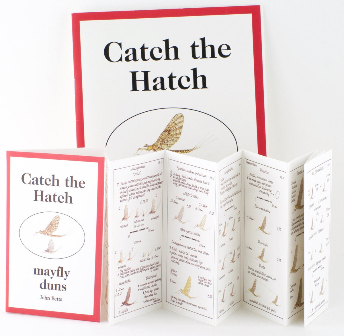 Betts, John - A Collection of Books, Flies, Framed Flies, etc. 