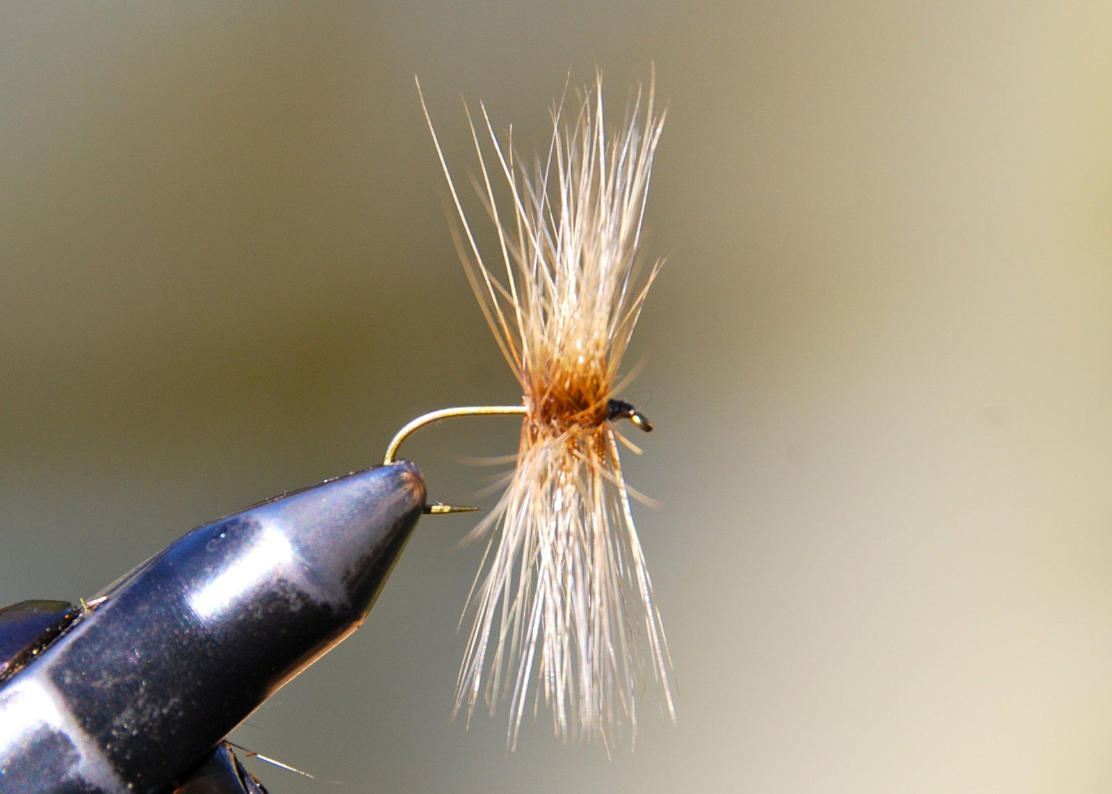 Flies for Rivers - Skating Spider