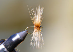 Flies for Rivers - Skating Spider 