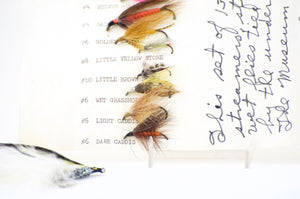 Rosborough, Polly - Collection of Flies 