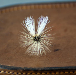 Dette Fly - White Wulff 