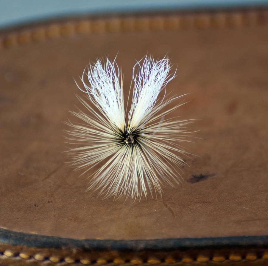 Dette Fly - White Wulff